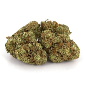 Chocolope Weed Strain