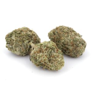 White Rhino Marijuana Buds