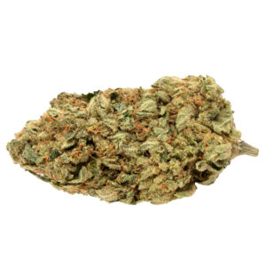 Super Skunk Marijuana Strain