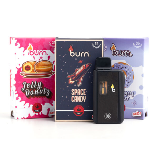 Disposable Vapes Burn 3g