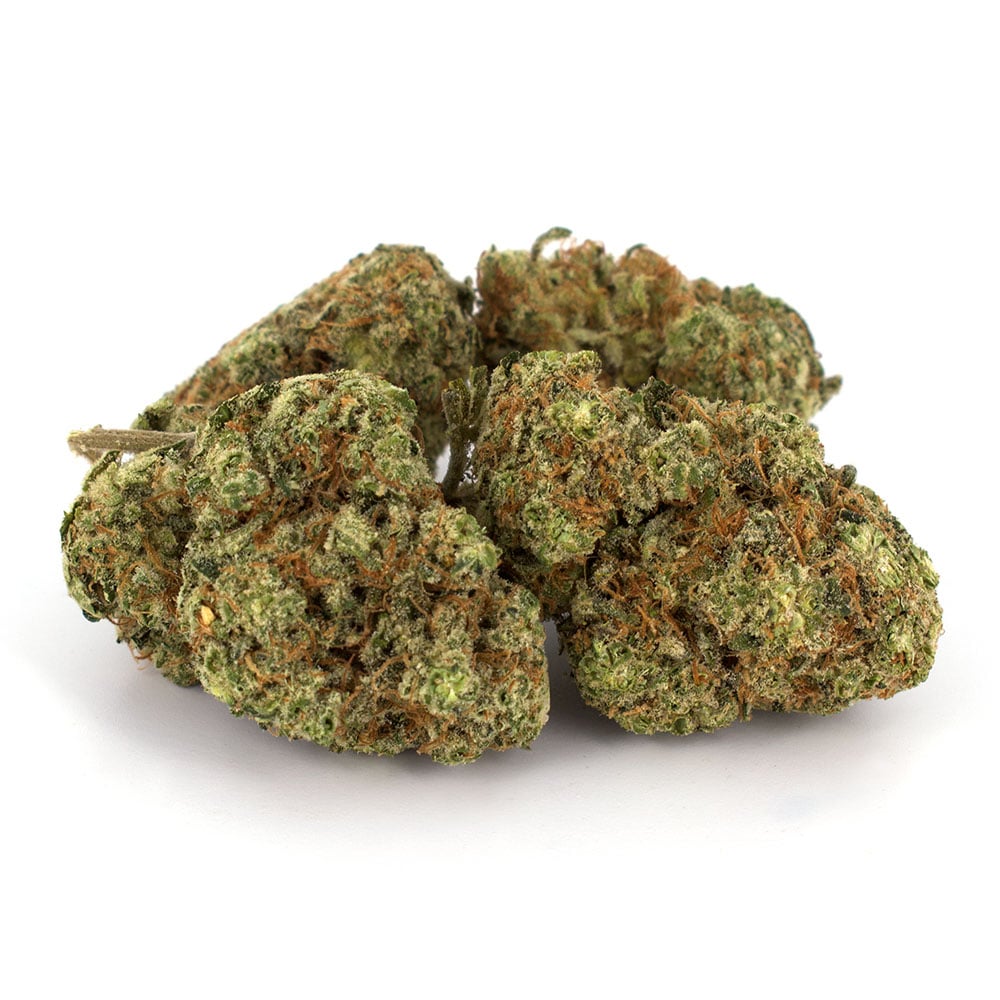 Chocolope Weed Strain