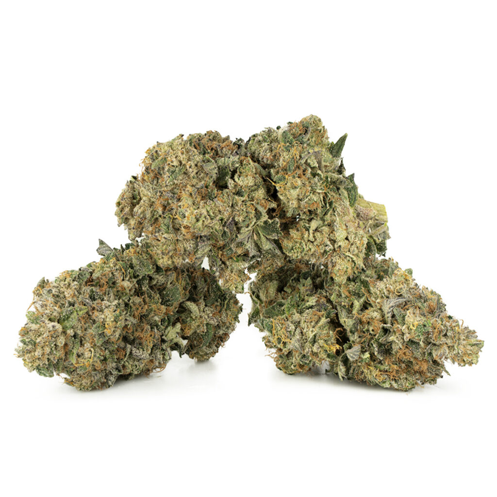 Mango Kush Marijuana Buds