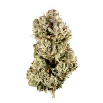 Gorilla Glue Weed Buds
